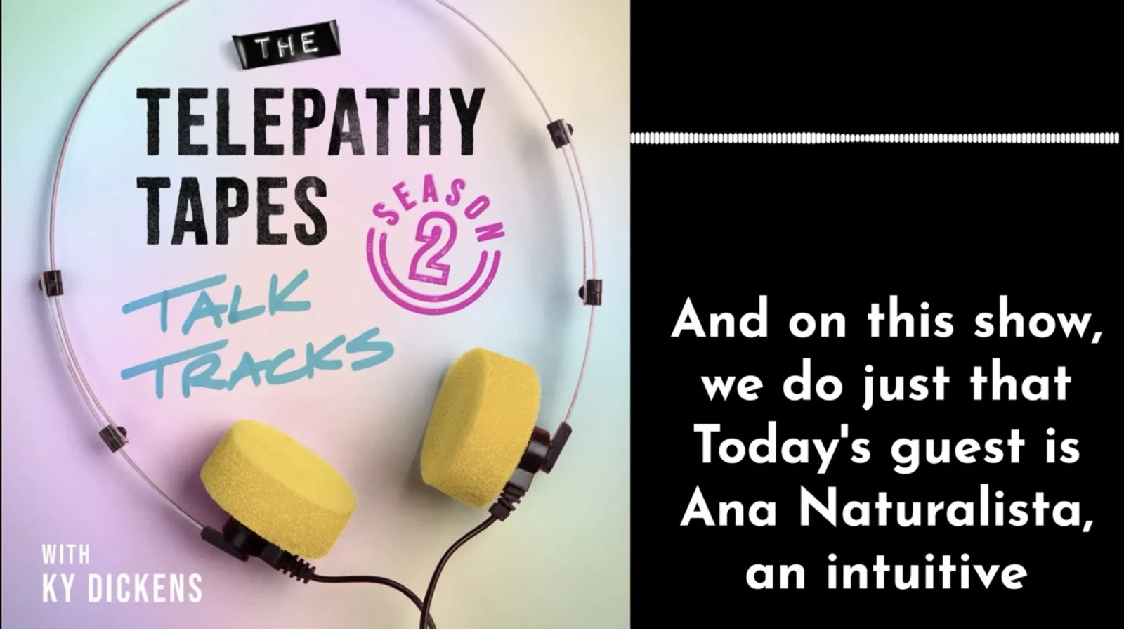 Telepathy Tapes Podcast Interview